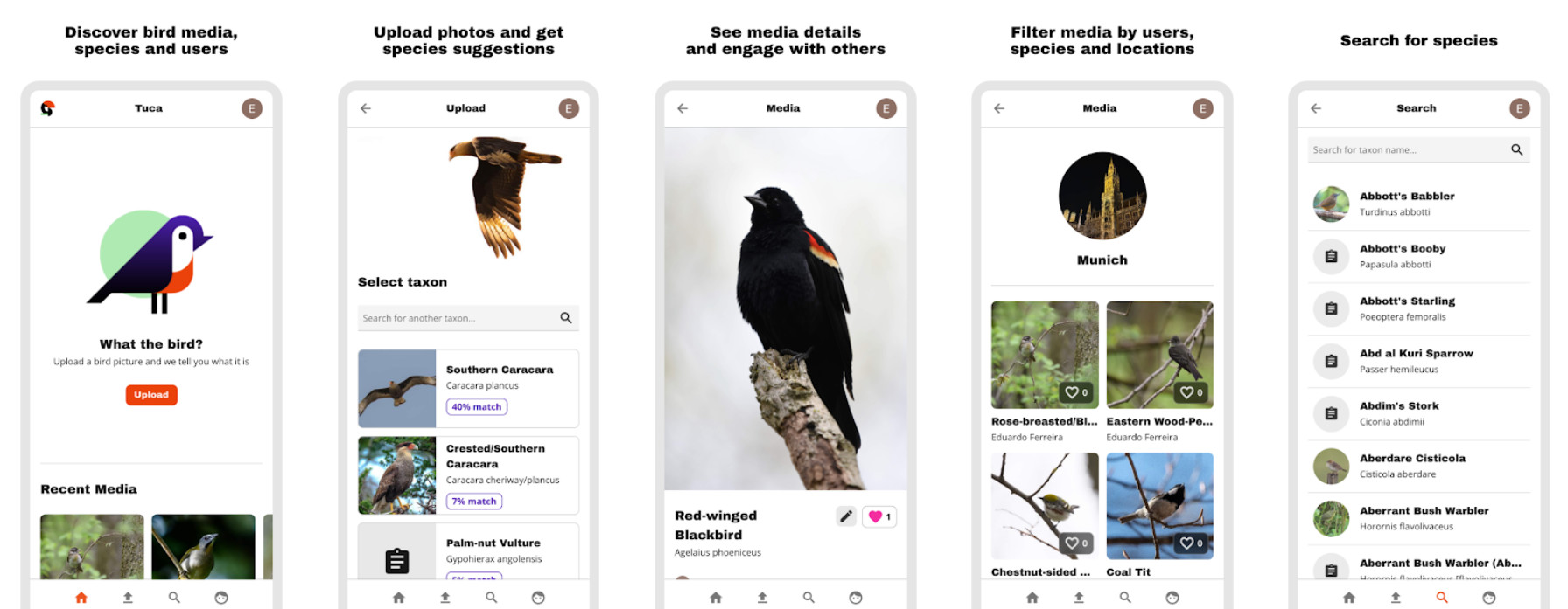 Tuca homepage screenshot